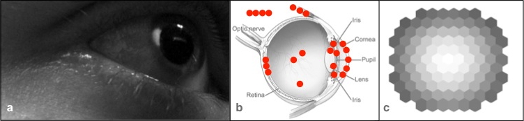 Fabrice Moret Quantitative access retina
