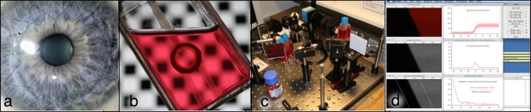 Fabrice Moret MTF modulation transfer function cornea graft